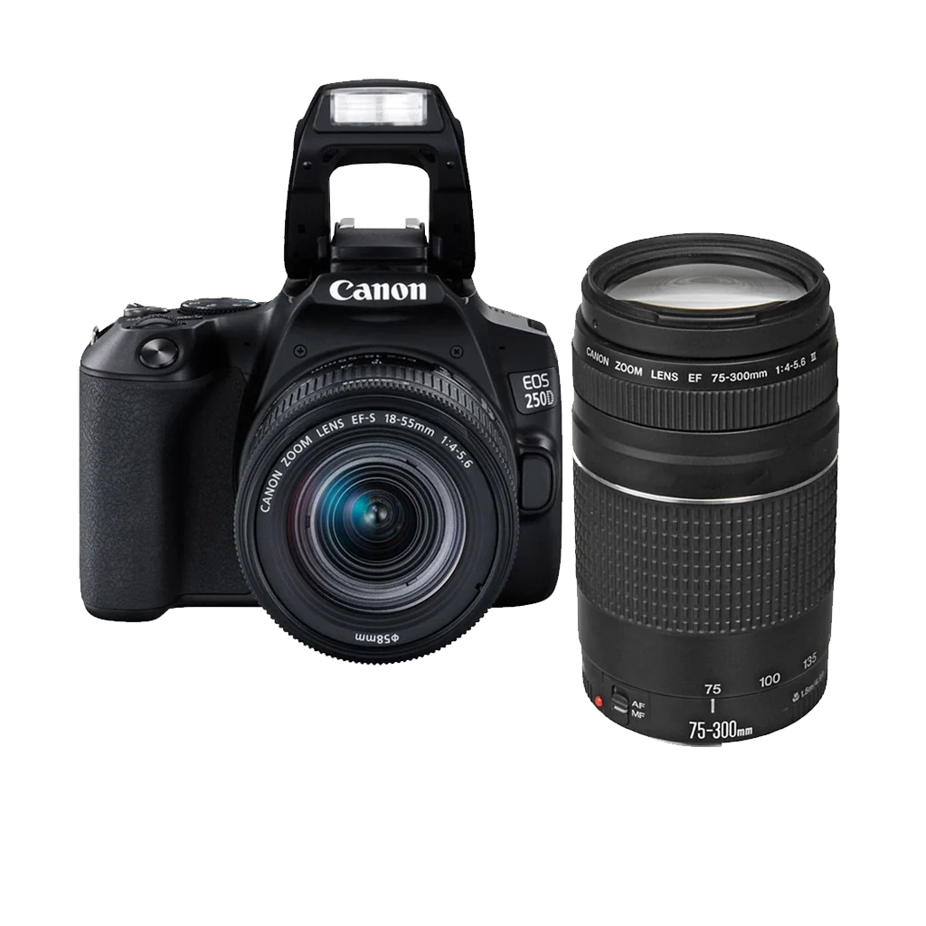 Canon EOS 250D DSLR Camera with a 18-55mm STM Lens
